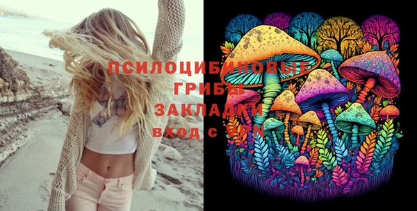 PSILOCYBIN Балахна